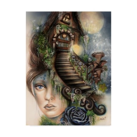 Sheena Pike Art And Illustration 'Moonlit Manor' Canvas Art,35x47